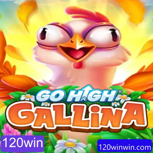 Descubra o Emocionante Mundo de GoHighGallina e Conquiste sua 120win